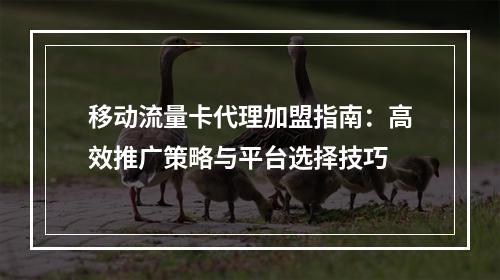 移动流量卡代理加盟指南：高效推广策略与平台选择技巧