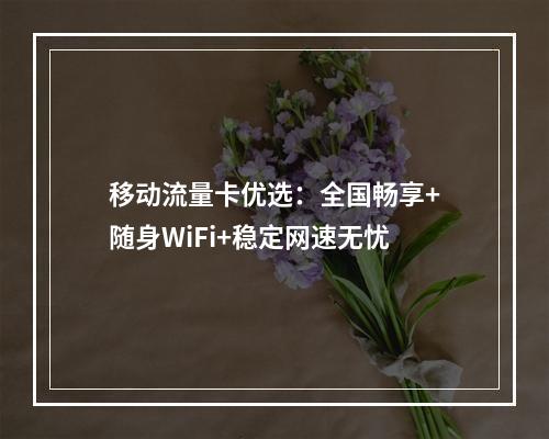移动流量卡优选：全国畅享+随身WiFi+稳定网速无忧