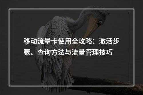 移动流量卡使用全攻略：激活步骤、查询方法与流量管理技巧