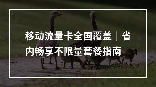 移动流量卡全国覆盖｜省内畅享不限量套餐指南