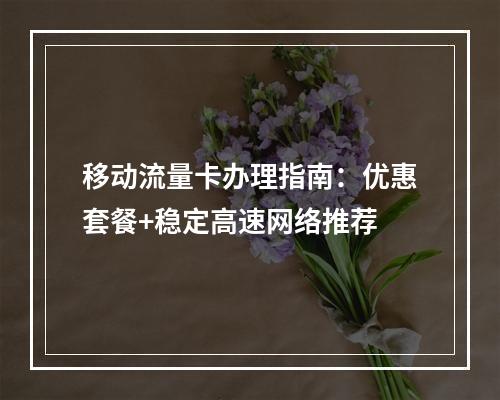 移动流量卡办理指南：优惠套餐+稳定高速网络推荐