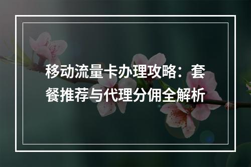移动流量卡办理攻略：套餐推荐与代理分佣全解析