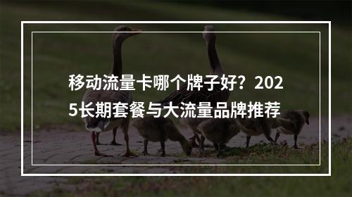移动流量卡哪个牌子好？2025长期套餐与大流量品牌推荐