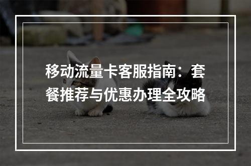 移动流量卡客服指南：套餐推荐与优惠办理全攻略