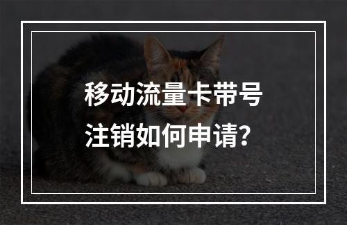 移动流量卡带号注销如何申请？