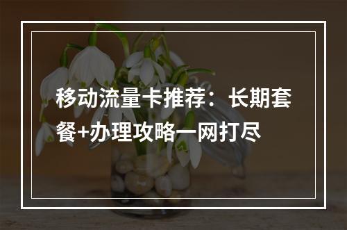 移动流量卡推荐：长期套餐+办理攻略一网打尽