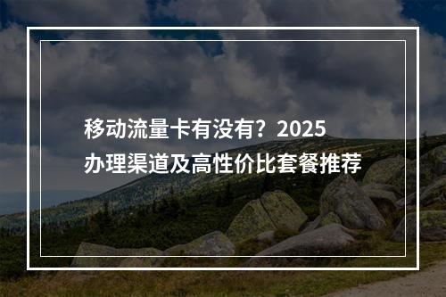 移动流量卡有没有？2025办理渠道及高性价比套餐推荐