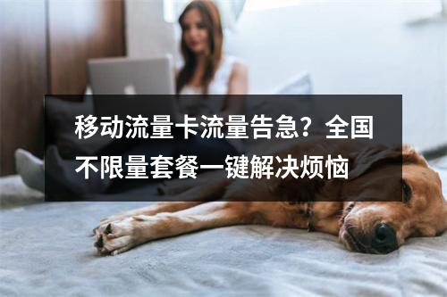 移动流量卡流量告急？全国不限量套餐一键解决烦恼