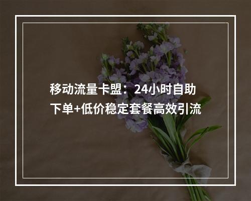 移动流量卡盟：24小时自助下单+低价稳定套餐高效引流
