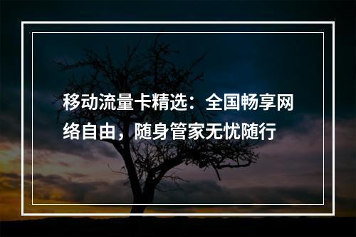 移动流量卡精选：全国畅享网络自由，随身管家无忧随行