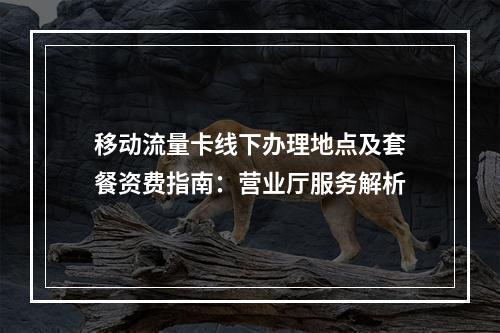 移动流量卡线下办理地点及套餐资费指南：营业厅服务解析