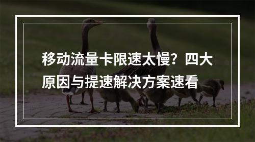 移动流量卡限速太慢？四大原因与提速解决方案速看