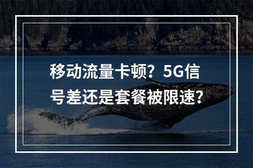 移动流量卡顿？5G信号差还是套餐被限速？