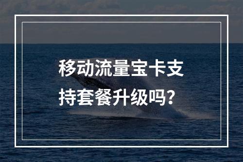 移动流量宝卡支持套餐升级吗？