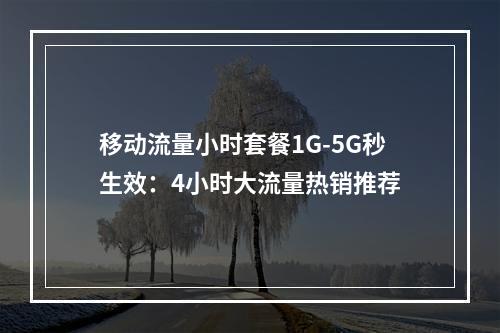 移动流量小时套餐1G-5G秒生效：4小时大流量热销推荐