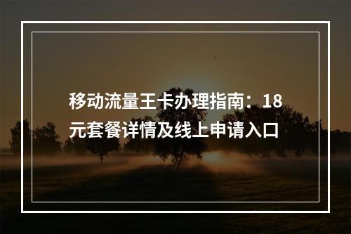 移动流量王卡办理指南：18元套餐详情及线上申请入口