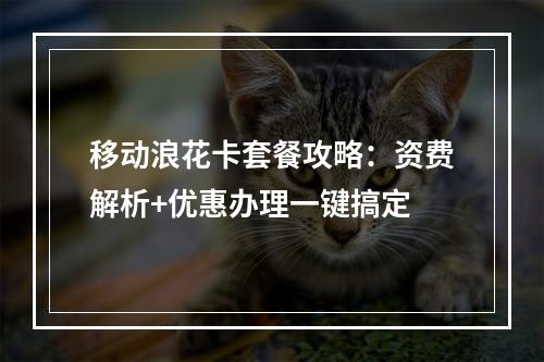 移动浪花卡套餐攻略：资费解析+优惠办理一键搞定