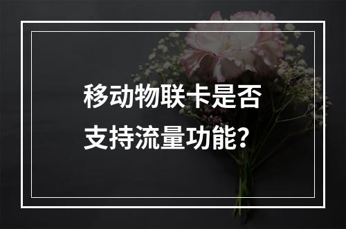 移动物联卡是否支持流量功能？