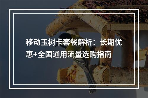 移动玉树卡套餐解析：长期优惠+全国通用流量选购指南