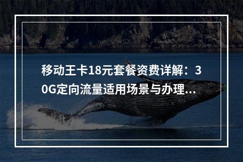 移动王卡18元套餐资费详解：30G定向流量适用场景与办理指南
