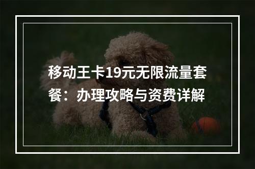 移动王卡19元无限流量套餐：办理攻略与资费详解