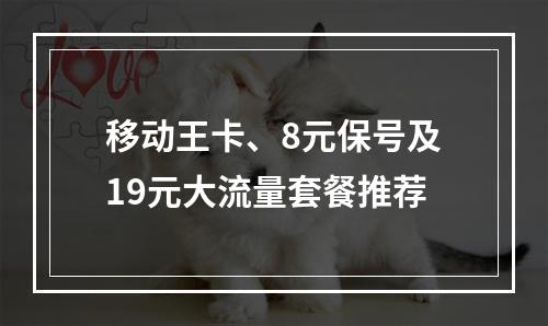 移动王卡、8元保号及19元大流量套餐推荐