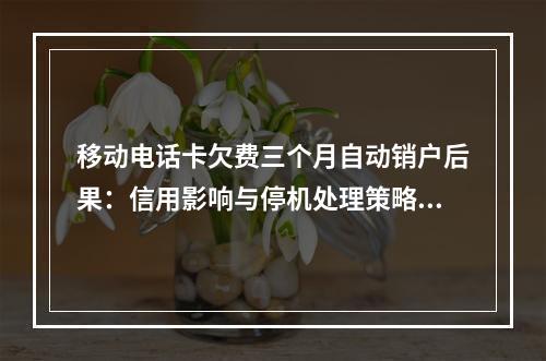 移动电话卡欠费三个月自动销户后果：信用影响与停机处理策略解析