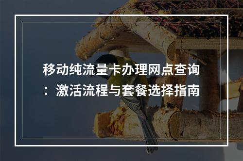 移动纯流量卡办理网点查询：激活流程与套餐选择指南