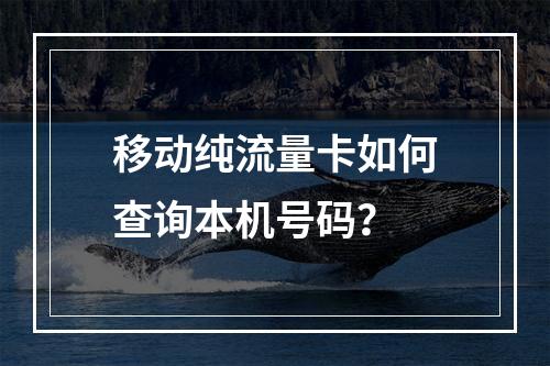 移动纯流量卡如何查询本机号码？