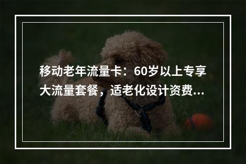 移动老年流量卡：60岁以上专享大流量套餐，适老化设计资费优惠
