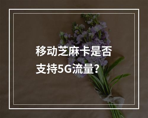 移动芝麻卡是否支持5G流量？