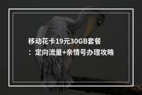 移动花卡19元30GB套餐：定向流量+亲情号办理攻略
