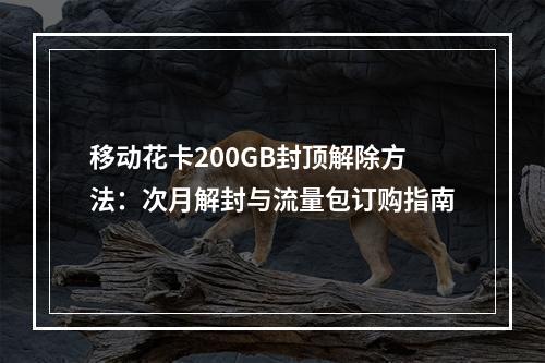 移动花卡200GB封顶解除方法：次月解封与流量包订购指南