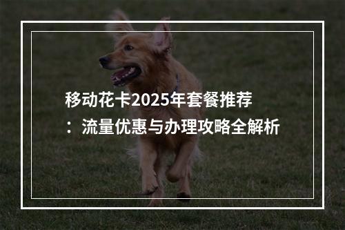 移动花卡2025年套餐推荐：流量优惠与办理攻略全解析