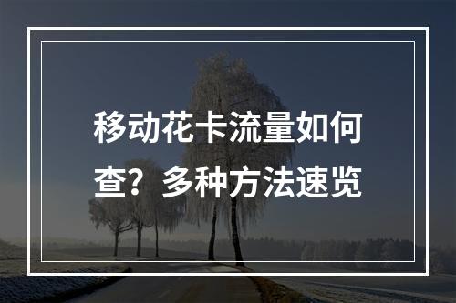 移动花卡流量如何查？多种方法速览