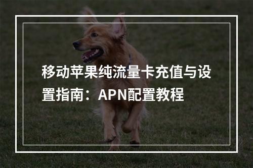 移动苹果纯流量卡充值与设置指南：APN配置教程