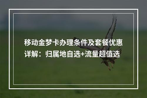 移动金梦卡办理条件及套餐优惠详解：归属地自选+流量超值选