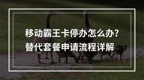 移动霸王卡停办怎么办？替代套餐申请流程详解