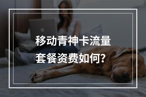 移动青神卡流量套餐资费如何？