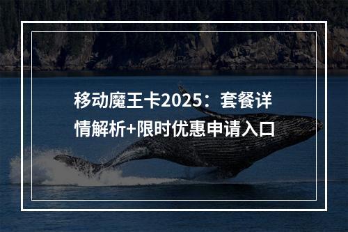 移动魔王卡2025：套餐详情解析+限时优惠申请入口
