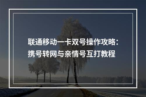 联通移动一卡双号操作攻略：携号转网与亲情号互打教程