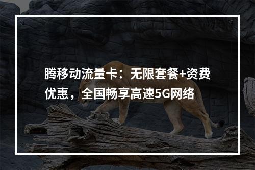 腾移动流量卡：无限套餐+资费优惠，全国畅享高速5G网络