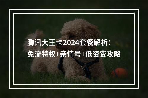 腾讯大王卡2024套餐解析：免流特权+亲情号+低资费攻略