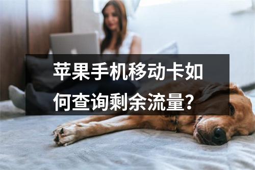 苹果手机移动卡如何查询剩余流量？