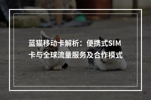 蓝猫移动卡解析：便携式SIM卡与全球流量服务及合作模式