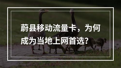 蔚县移动流量卡，为何成为当地上网首选？
