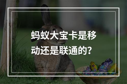 蚂蚁大宝卡是移动还是联通的？