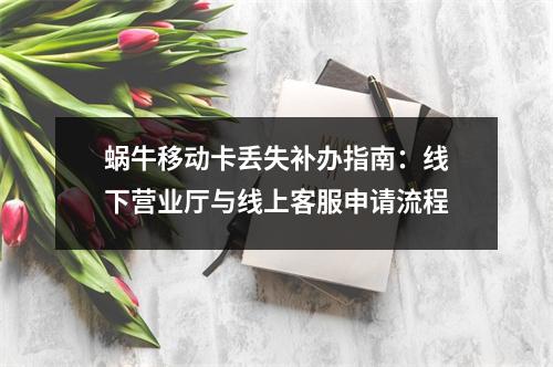 蜗牛移动卡丢失补办指南：线下营业厅与线上客服申请流程