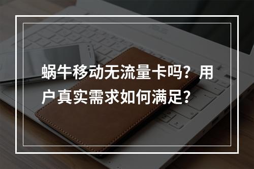 蜗牛移动无流量卡吗？用户真实需求如何满足？
