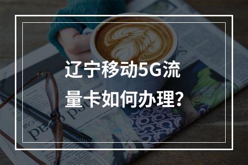 辽宁移动5G流量卡如何办理？